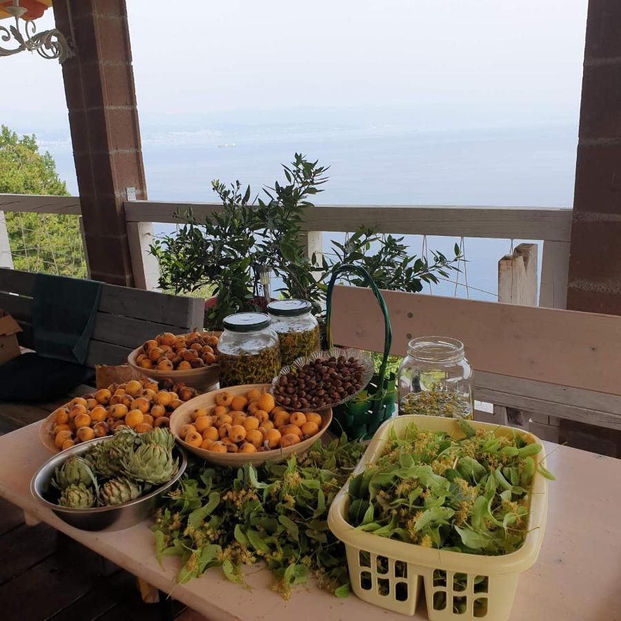 Mary'S Garden Villa Tulisevica Eksteriør bilde