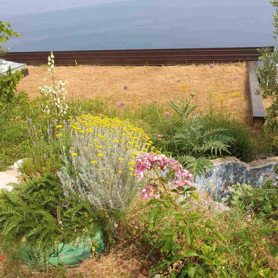 Mary'S Garden Villa Tulisevica Eksteriør bilde