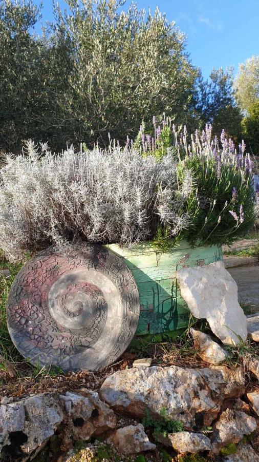 Mary'S Garden Villa Tulisevica Eksteriør bilde