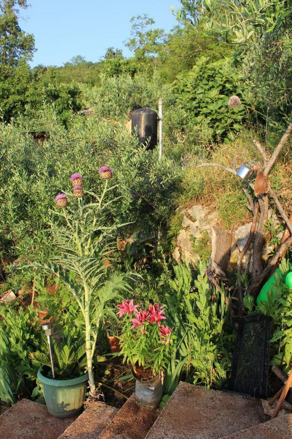 Mary'S Garden Villa Tulisevica Eksteriør bilde