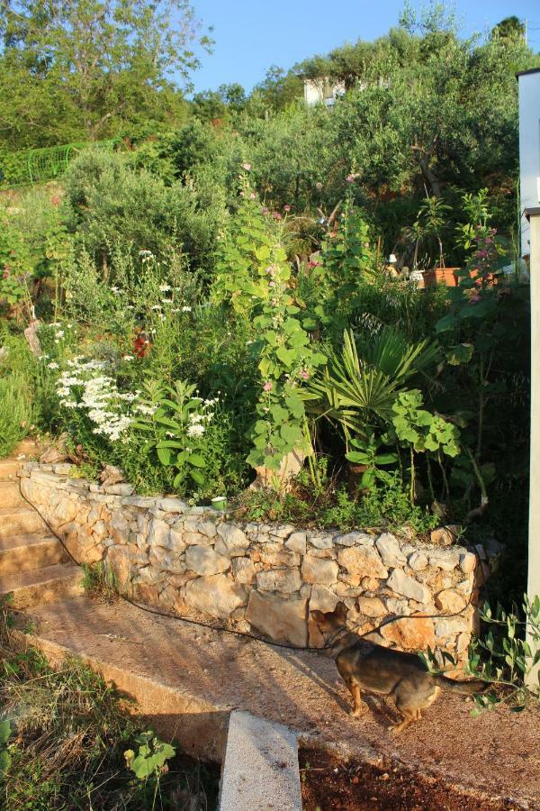 Mary'S Garden Villa Tulisevica Eksteriør bilde